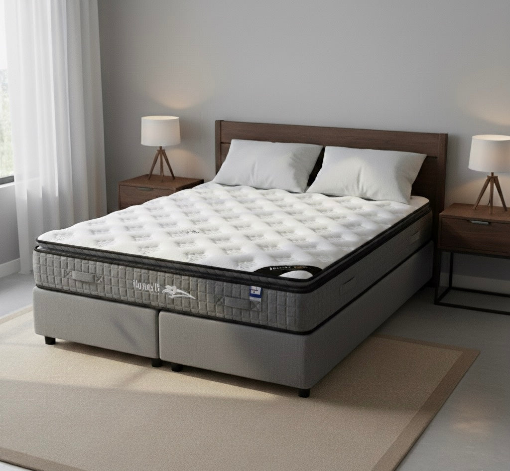 HoneyB Galaxy Mattress